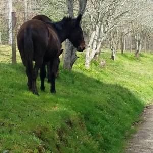 Meet your Posher, Nancy